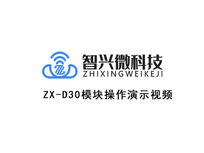 ZX-D30 Bluetooth module